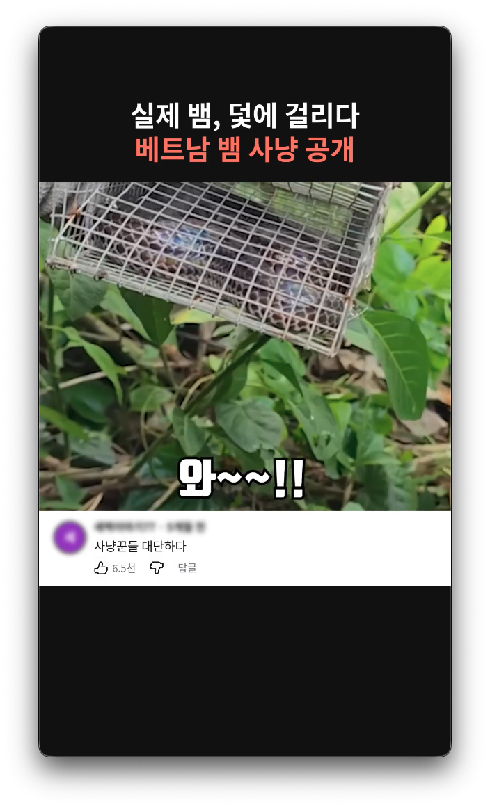 완성된 쇼츠 예시 11