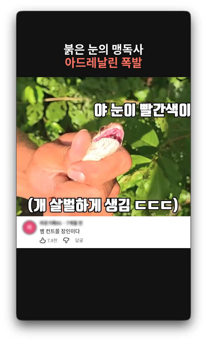 완성된 쇼츠 예시 14